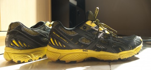 Asics Running Shoes